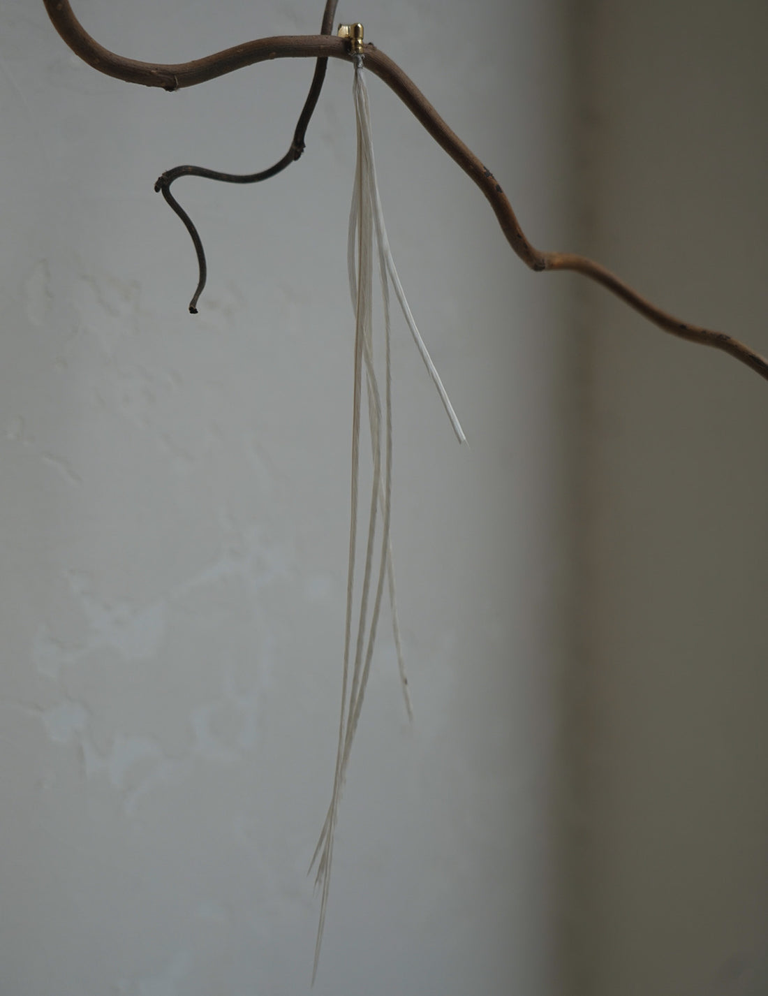 Feather Earring・ White