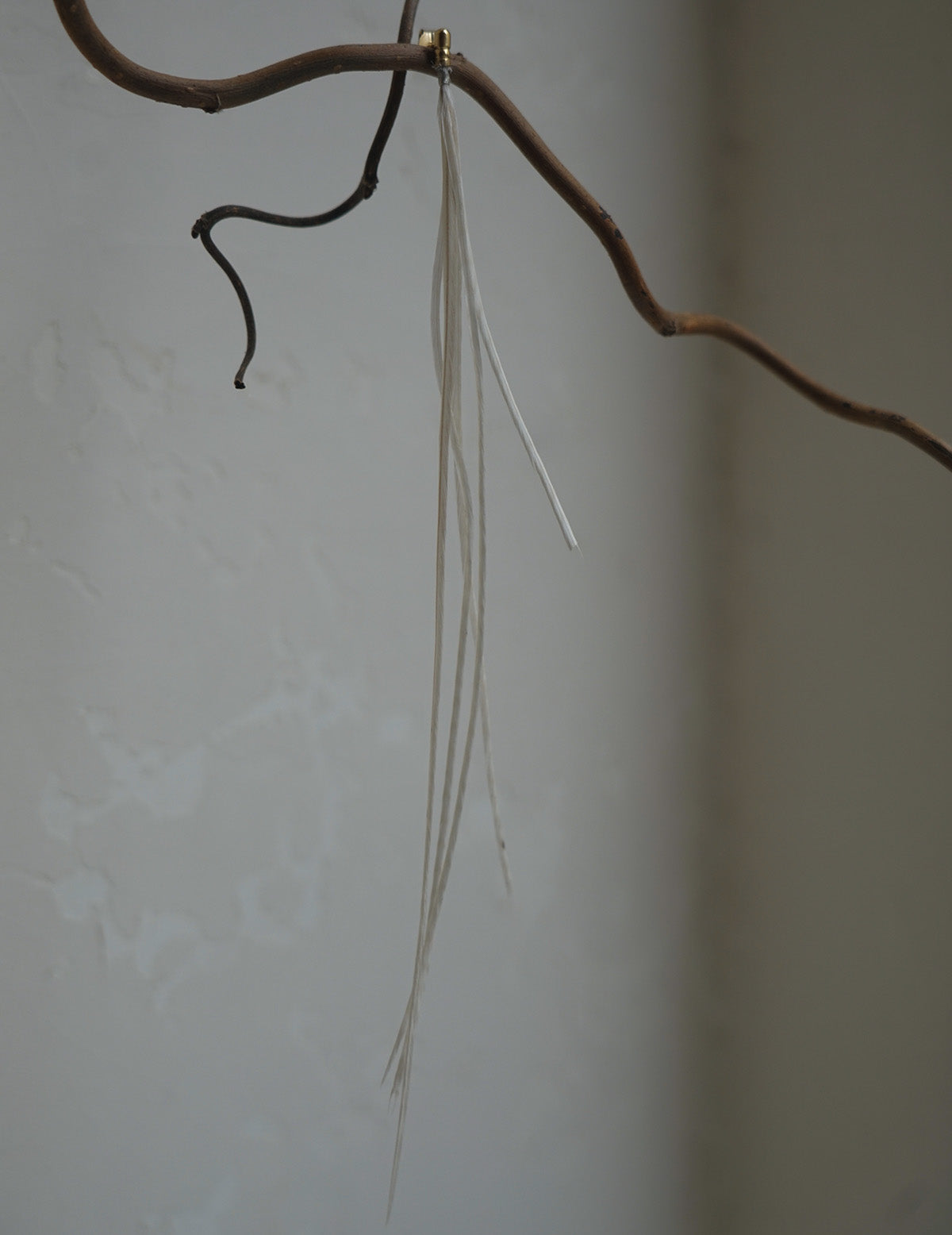 Feather Earring・ White