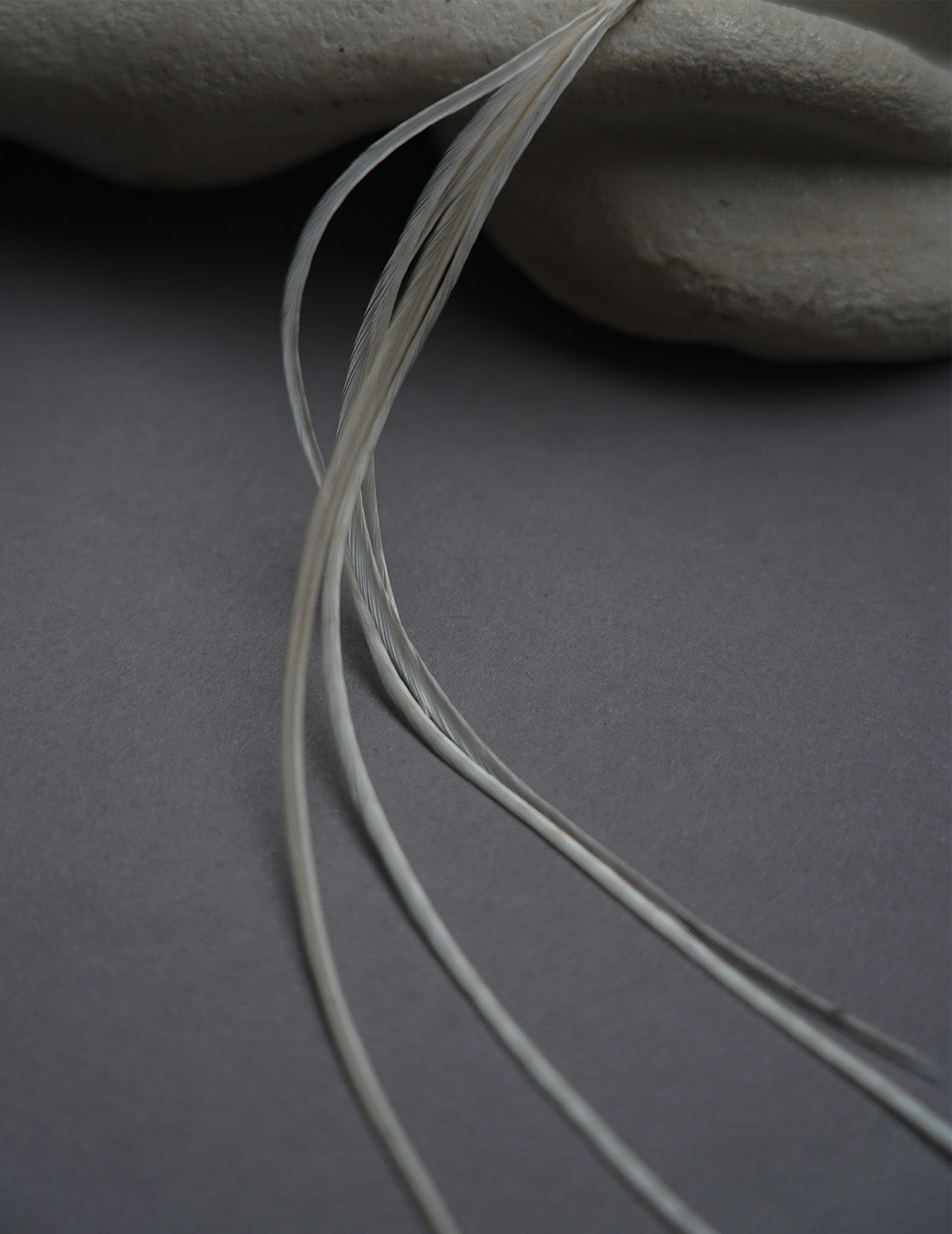 Feather Earring・ White