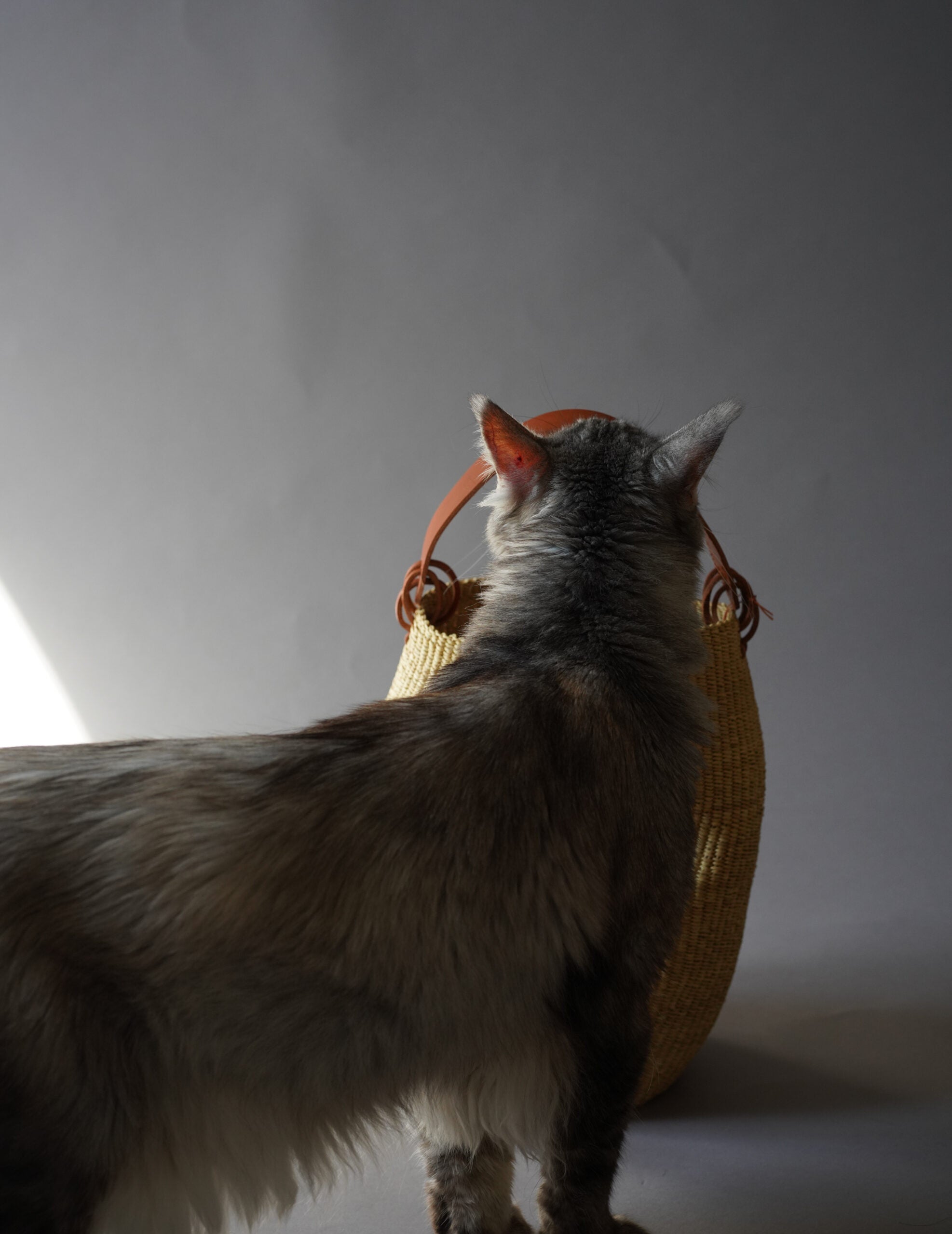 Akamae 皺褶草編包 N.40・棕色