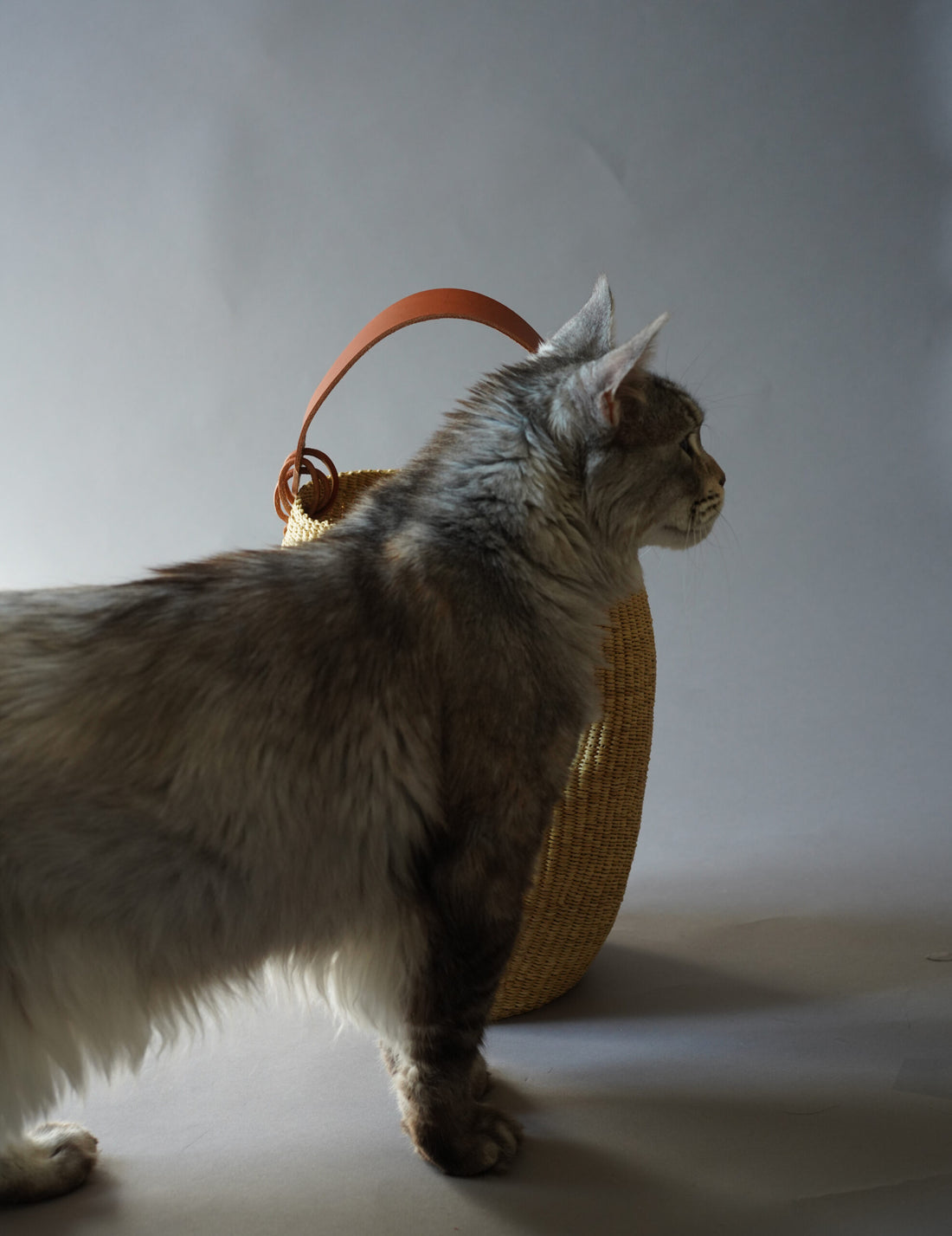 Akamae 皺褶草編包 N.40・棕色