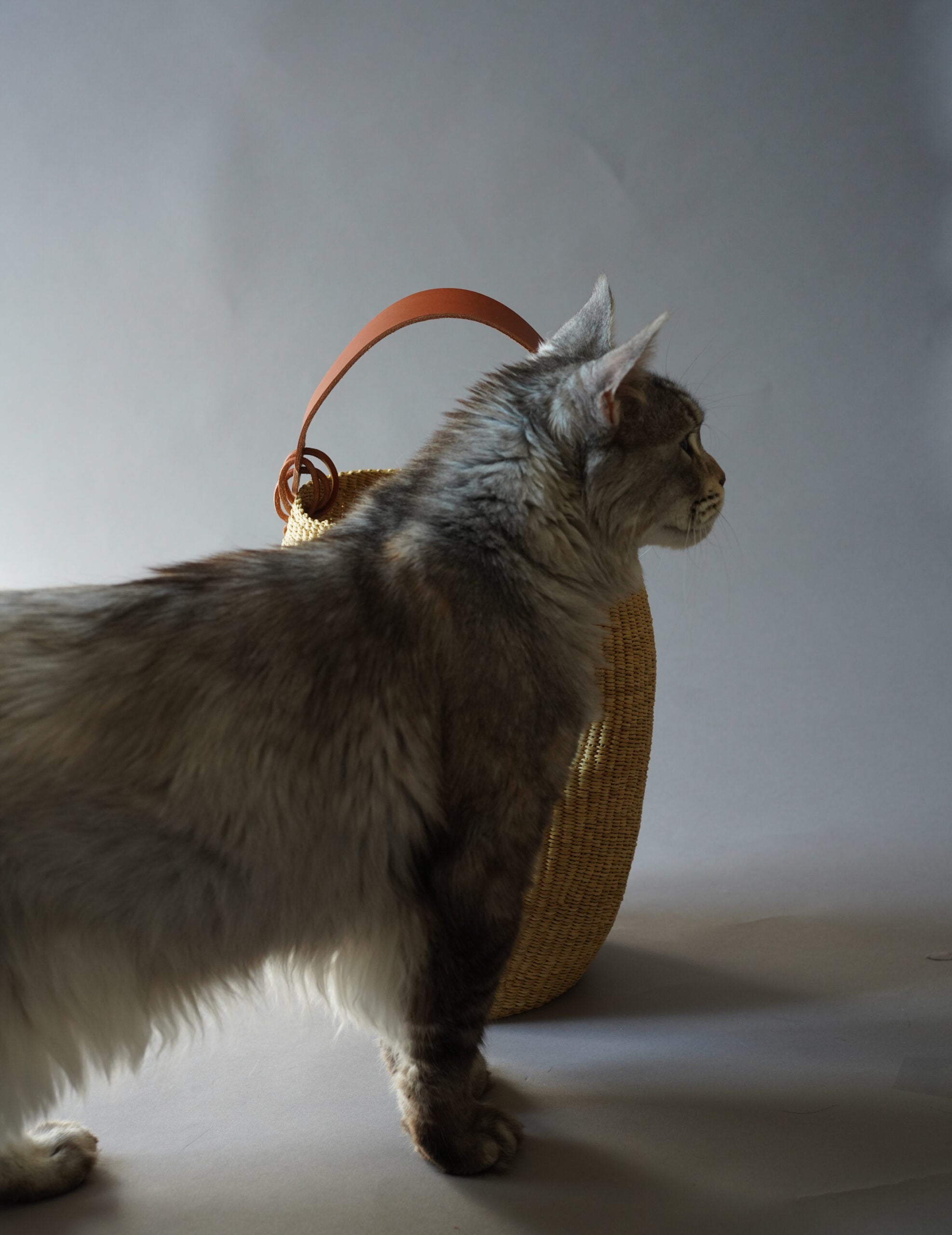 Akamae 皺褶草編包 N.40・棕色