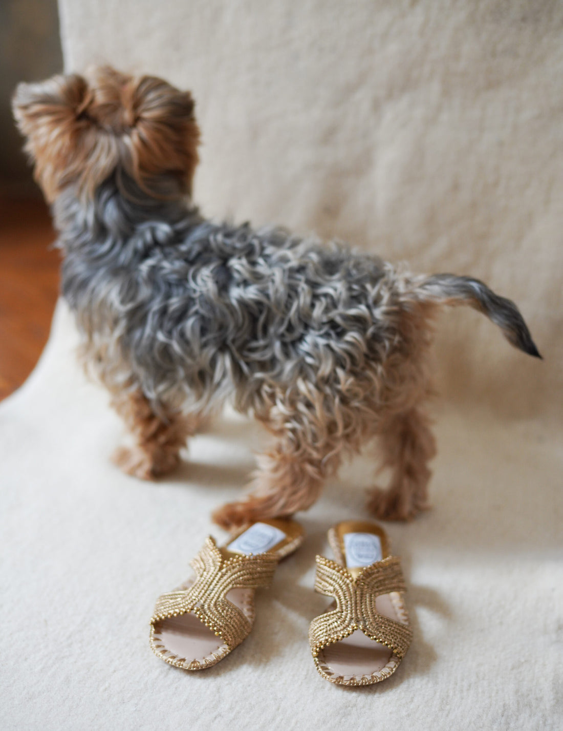 Raffia H 珠繡編織涼鞋・金色