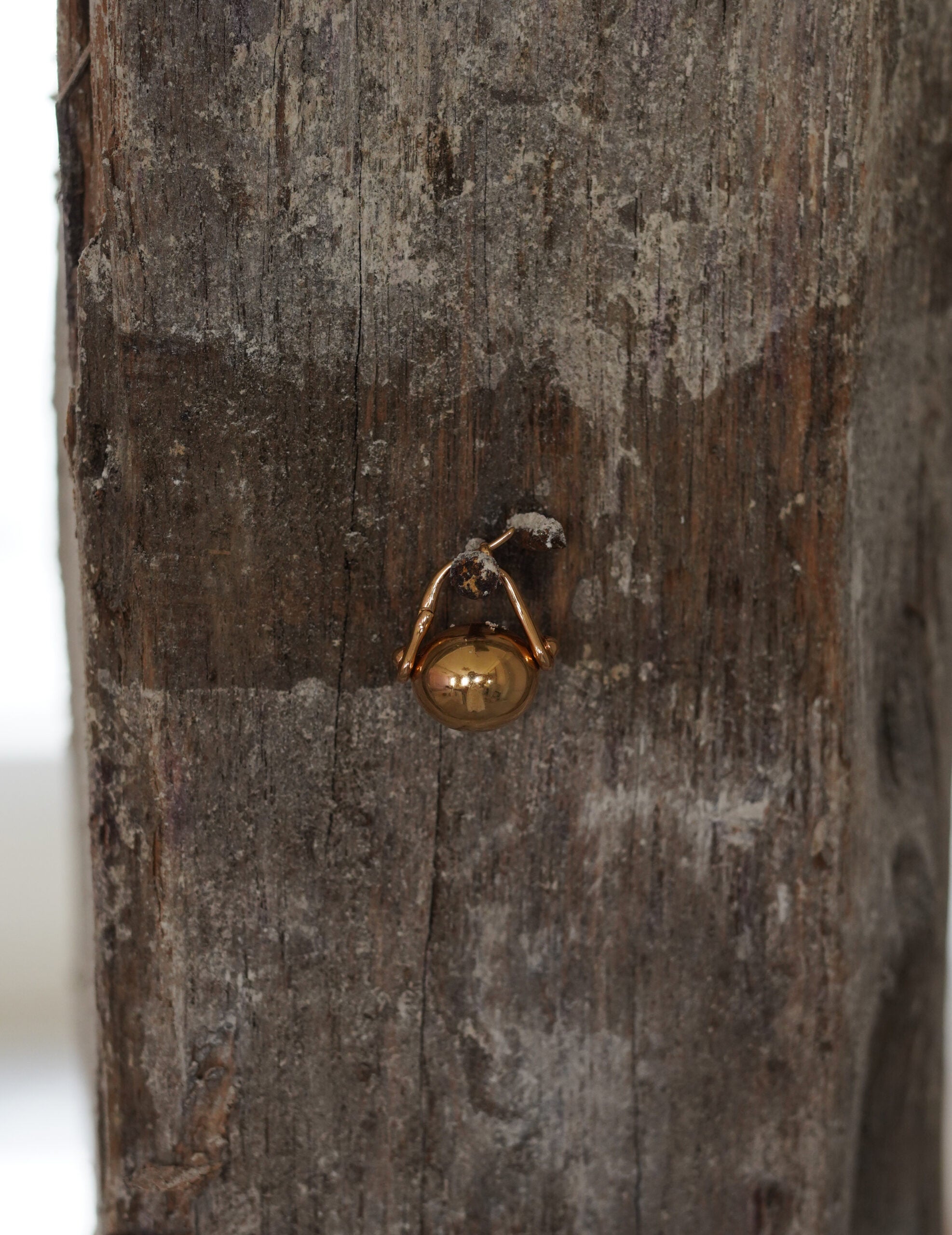 Ellipse 橢圓耳環・金色