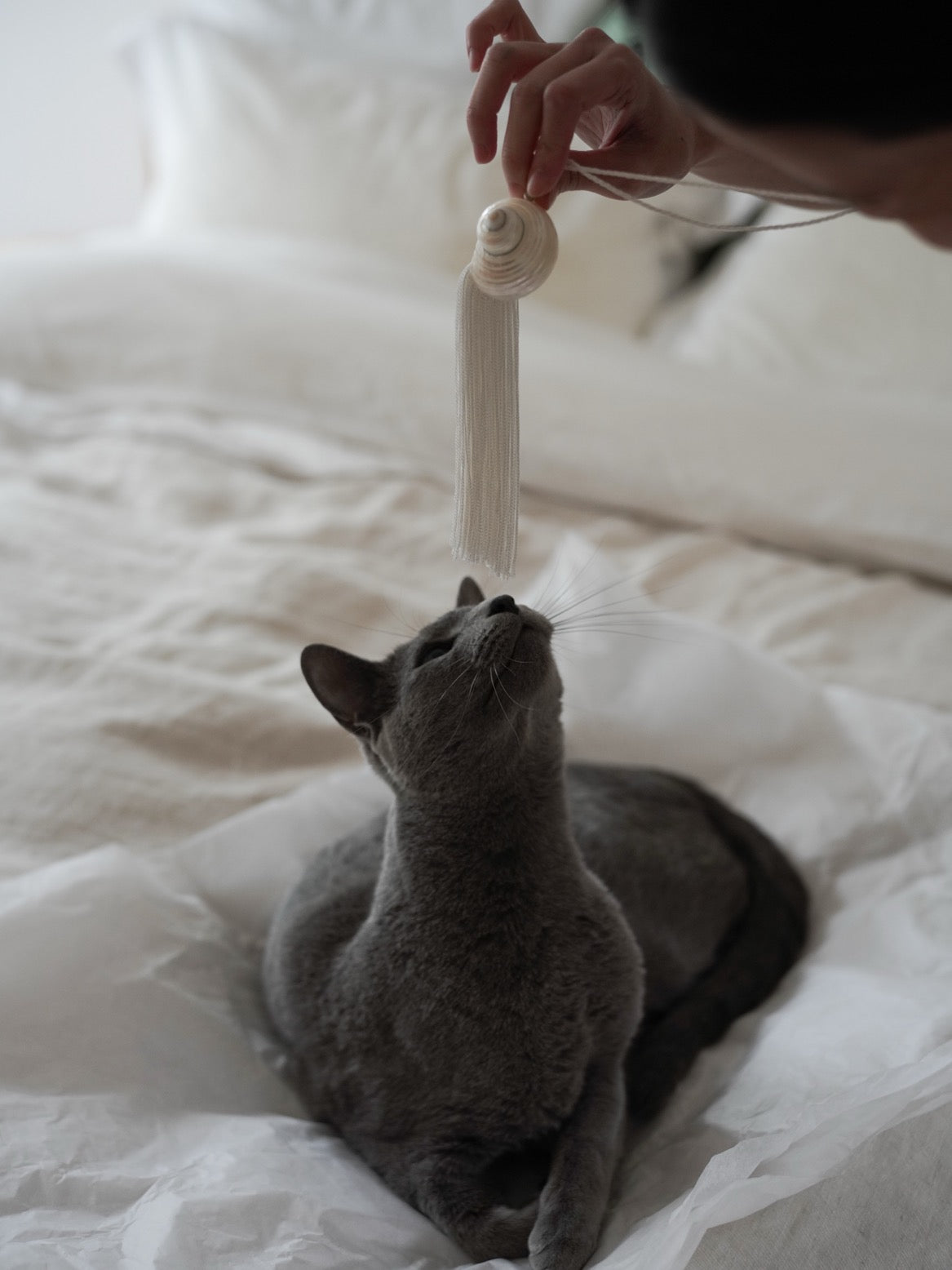 Bespoke Shell Tassel Necklace・White