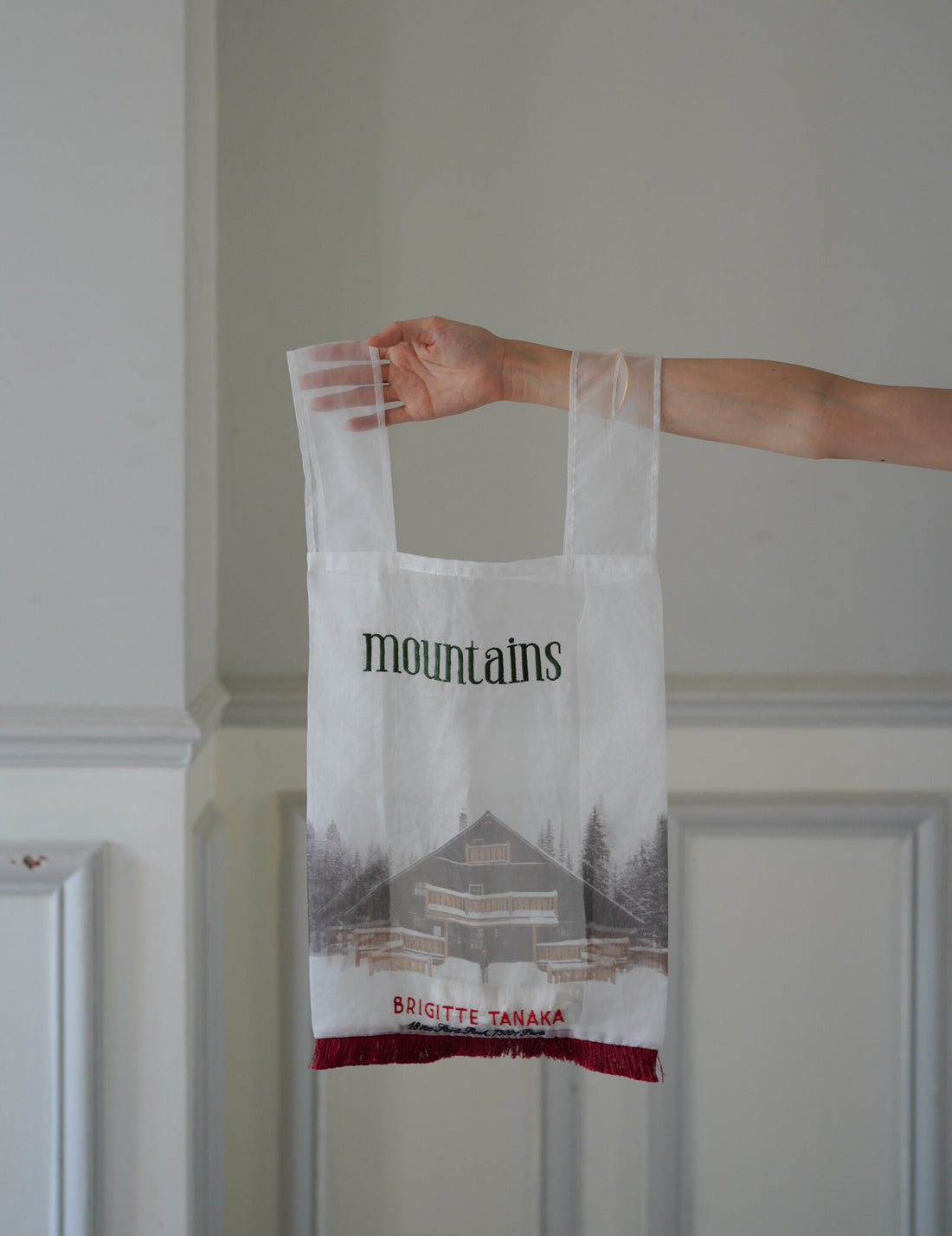 Mountain Chalet 刺繡透明歐根紗手袋