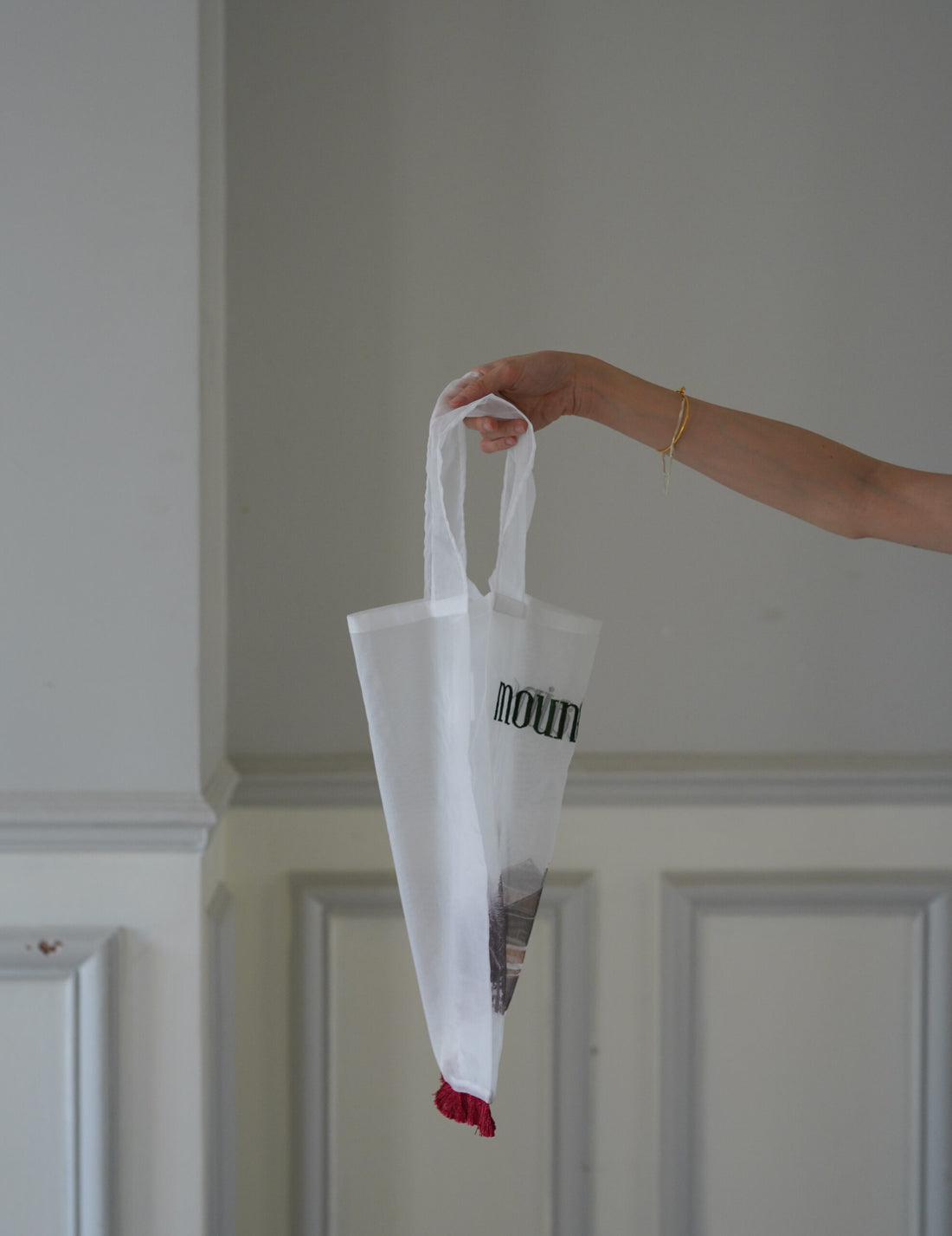 Mountain Chalet 刺繡透明歐根紗手袋