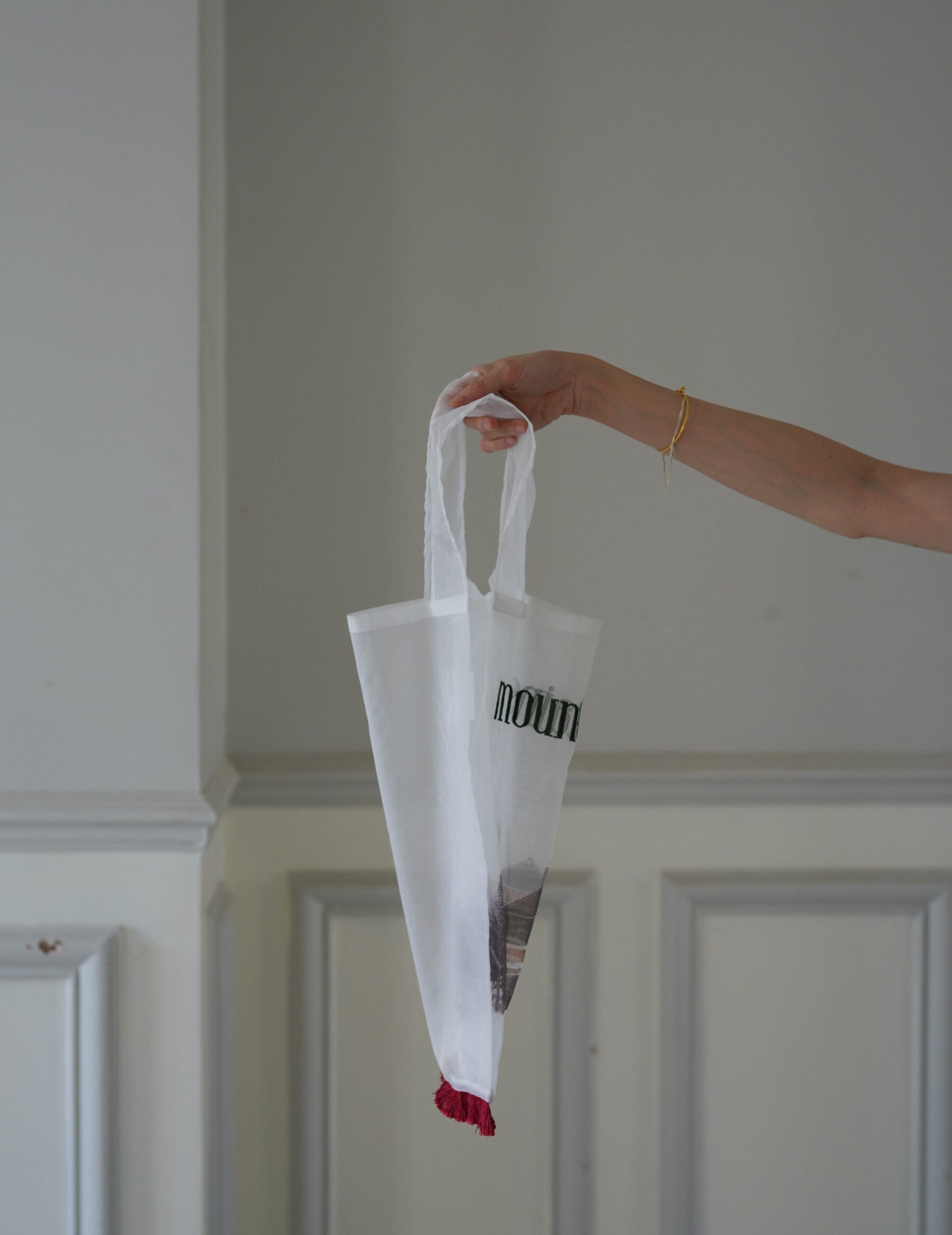 Mountain Chalet 刺繡透明歐根紗手袋