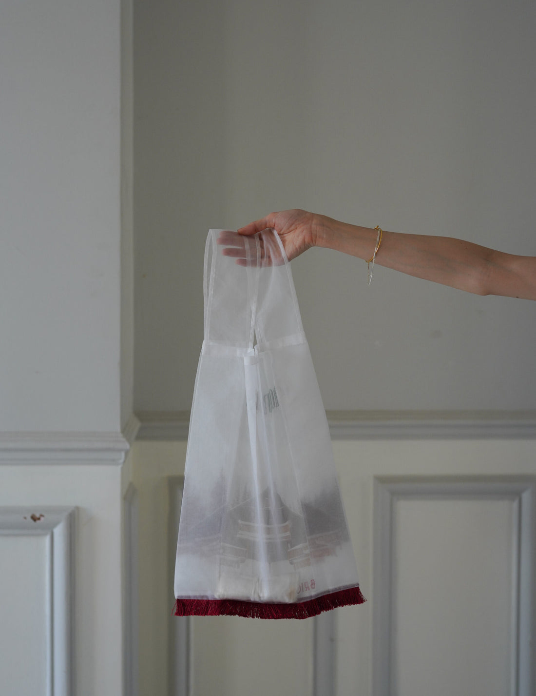 Mountain Chalet 刺繡透明歐根紗手袋