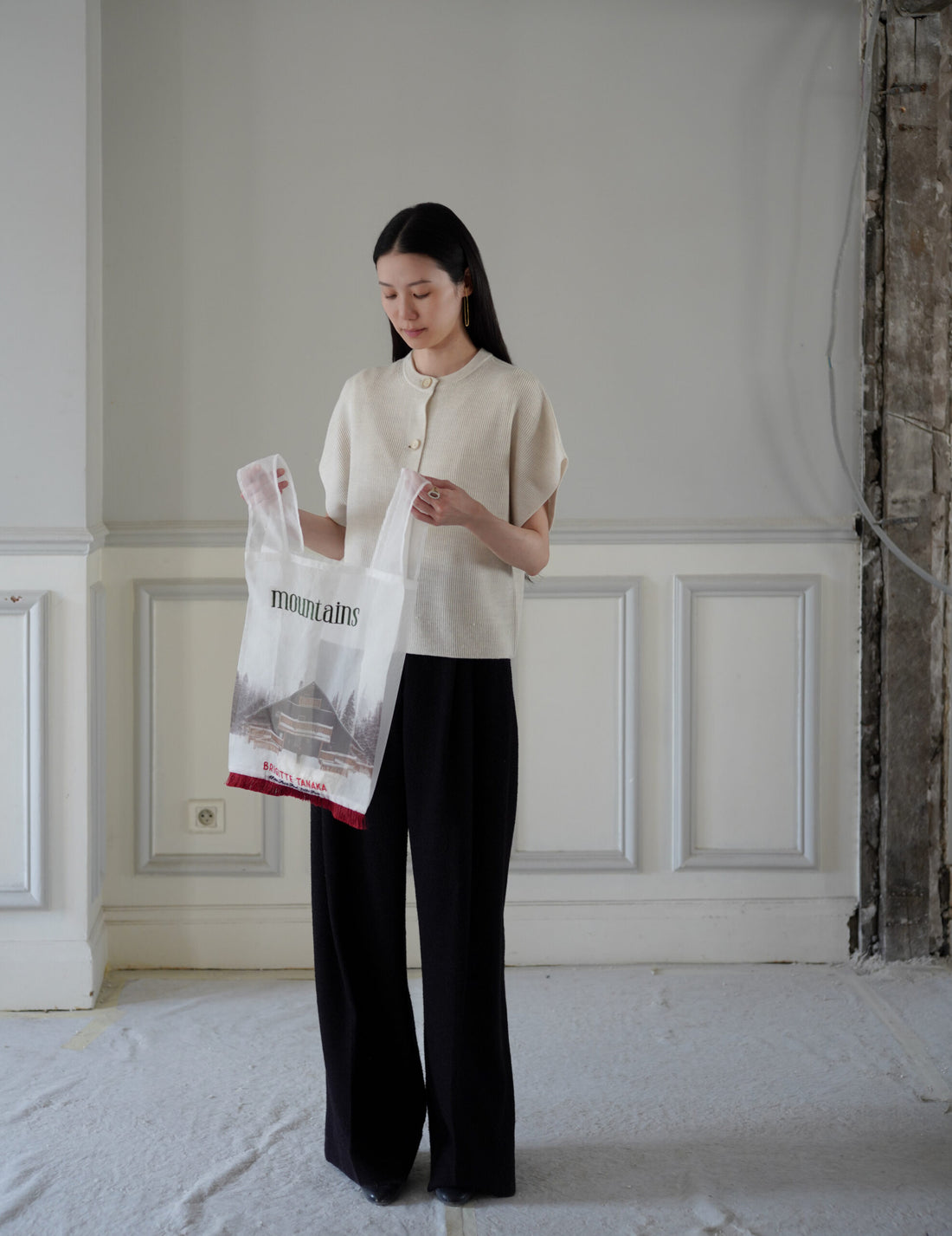 Mountain Chalet 刺繡透明歐根紗手袋