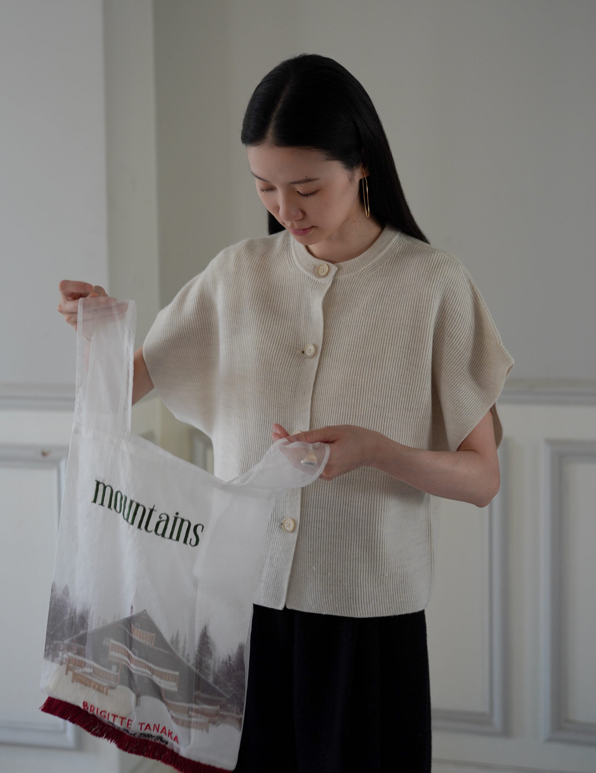 Mountain Chalet 刺繡透明歐根紗手袋