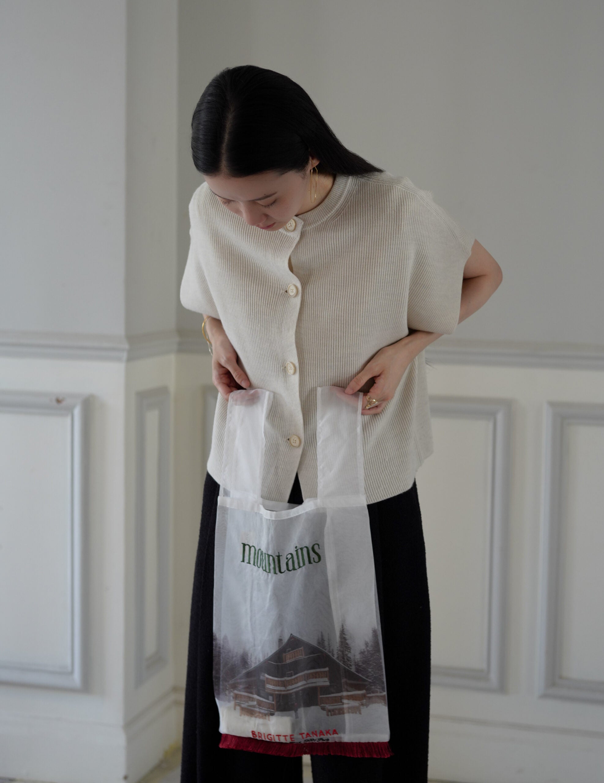 Mountain Chalet 刺繡透明歐根紗手袋