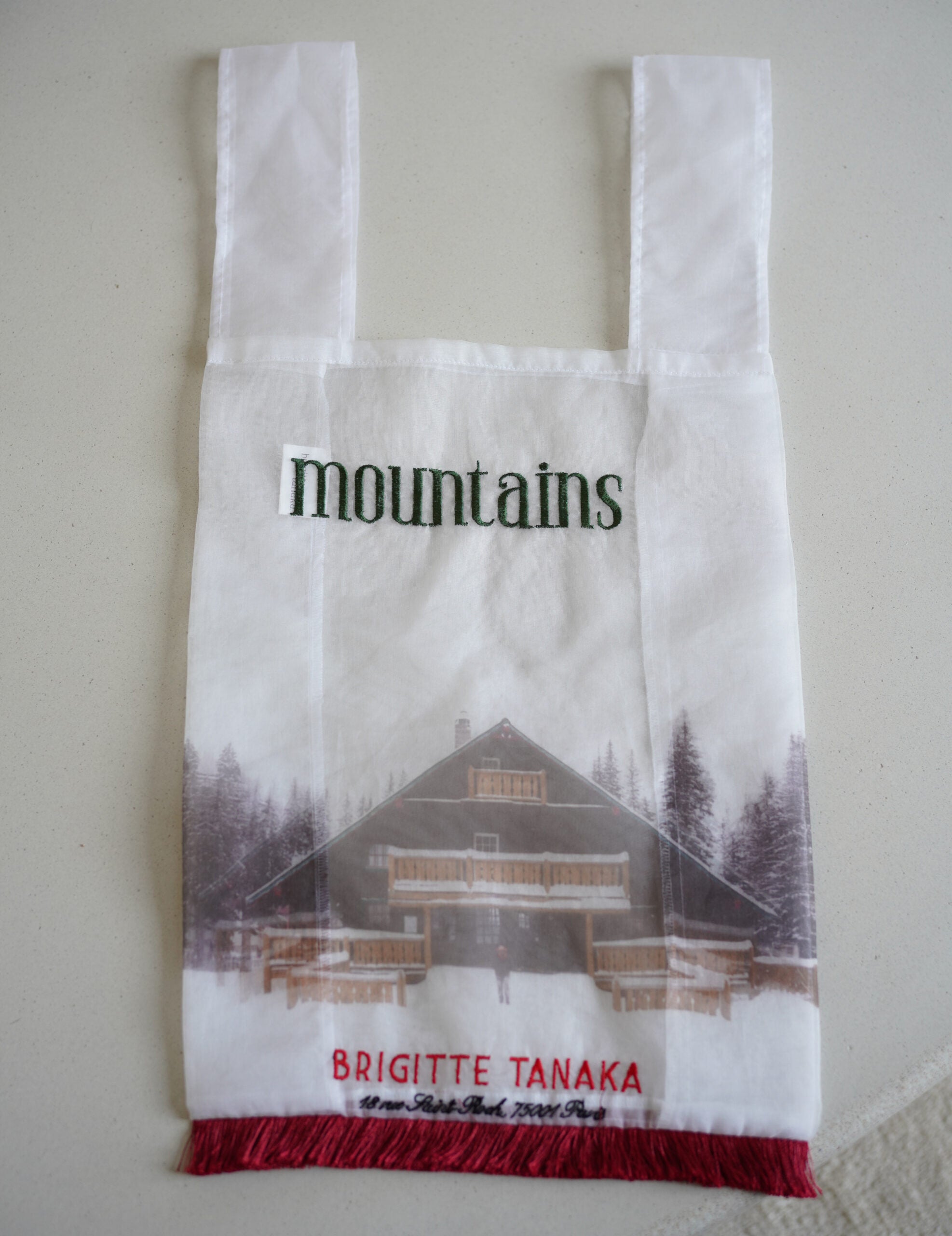 Mountain Chalet 刺繡透明歐根紗手袋