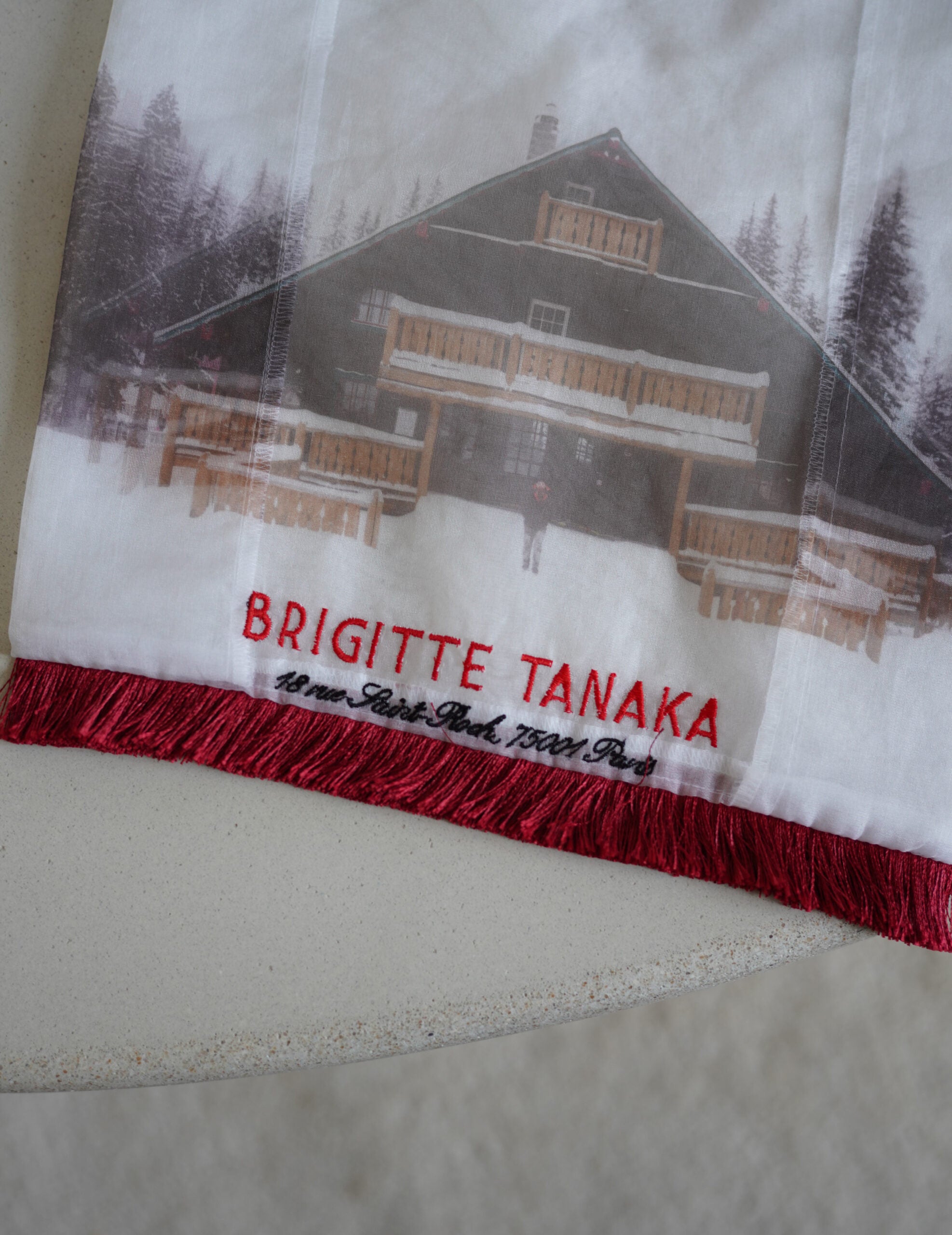 Mountain Chalet 刺繡透明歐根紗手袋