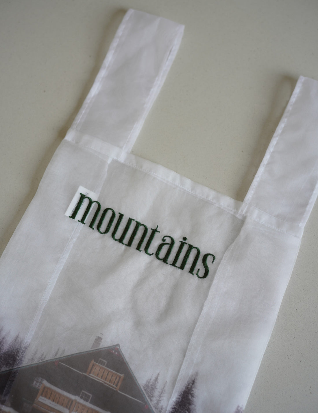 Mountain Chalet 刺繡透明歐根紗手袋