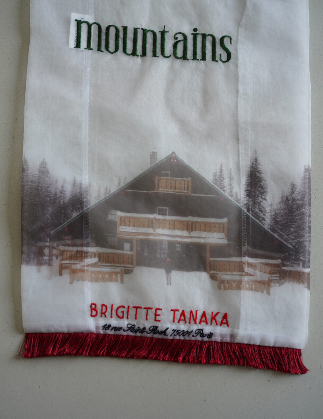 Mountain Chalet 刺繡透明歐根紗手袋