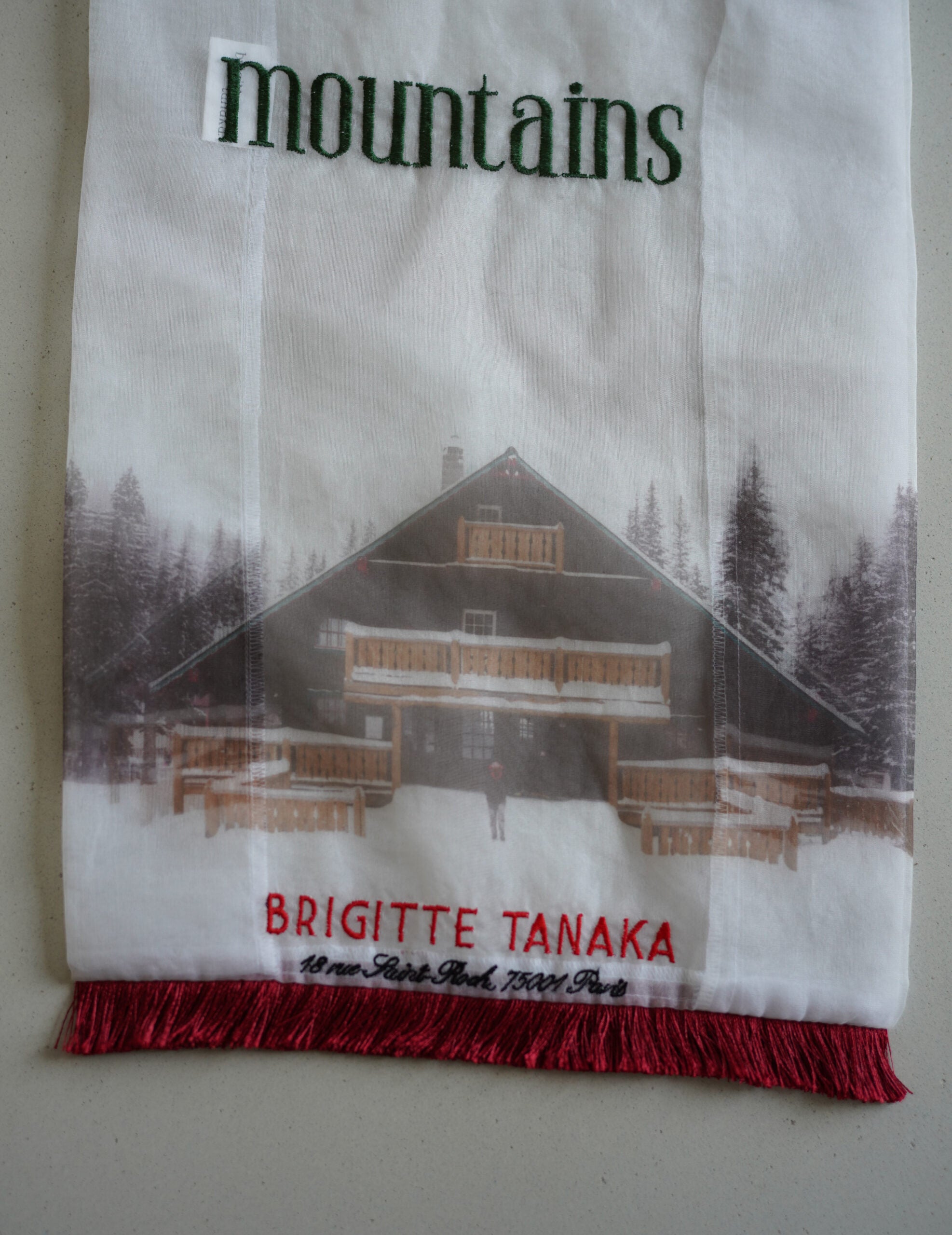 Mountain Chalet 刺繡透明歐根紗手袋