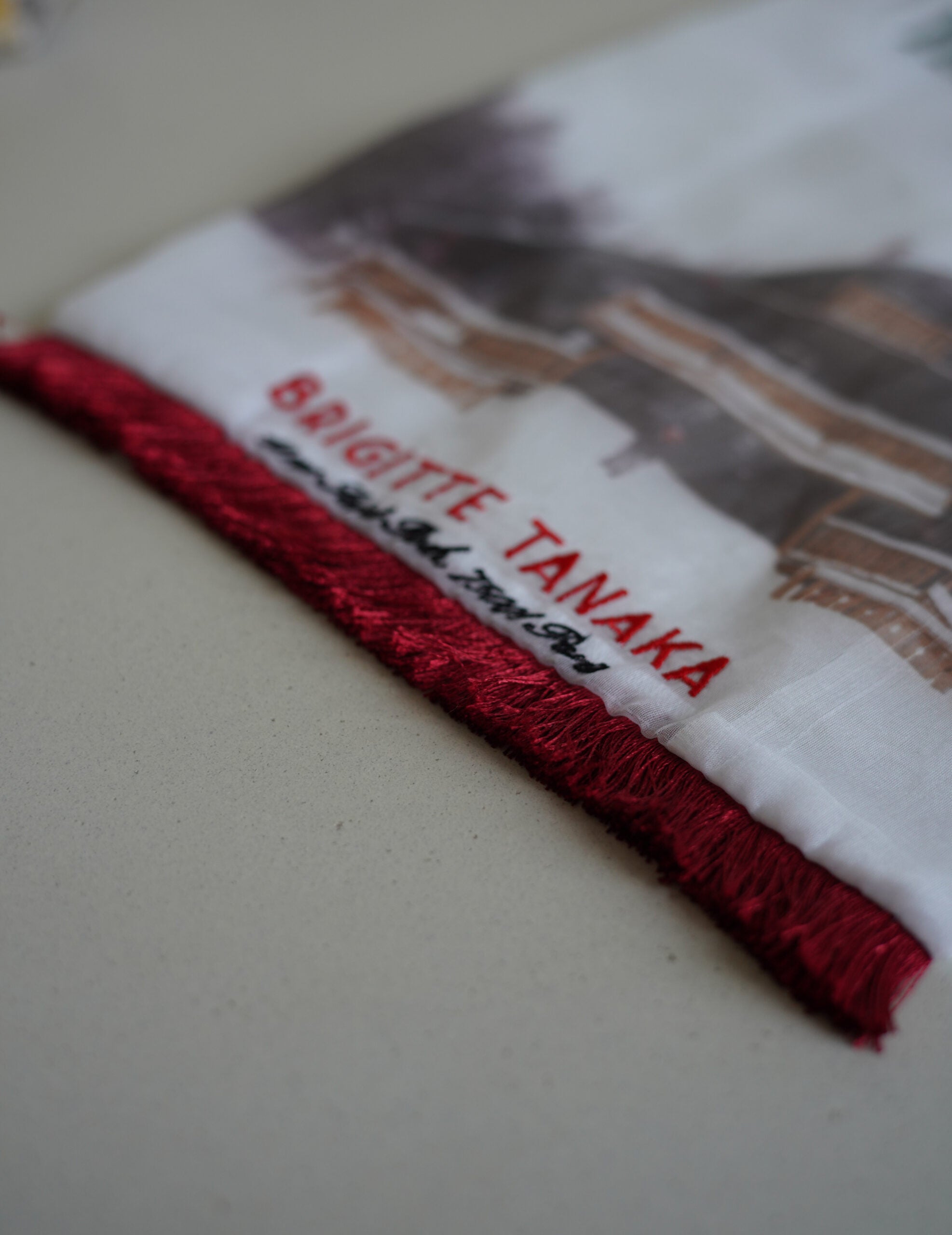 Mountain Chalet 刺繡透明歐根紗手袋