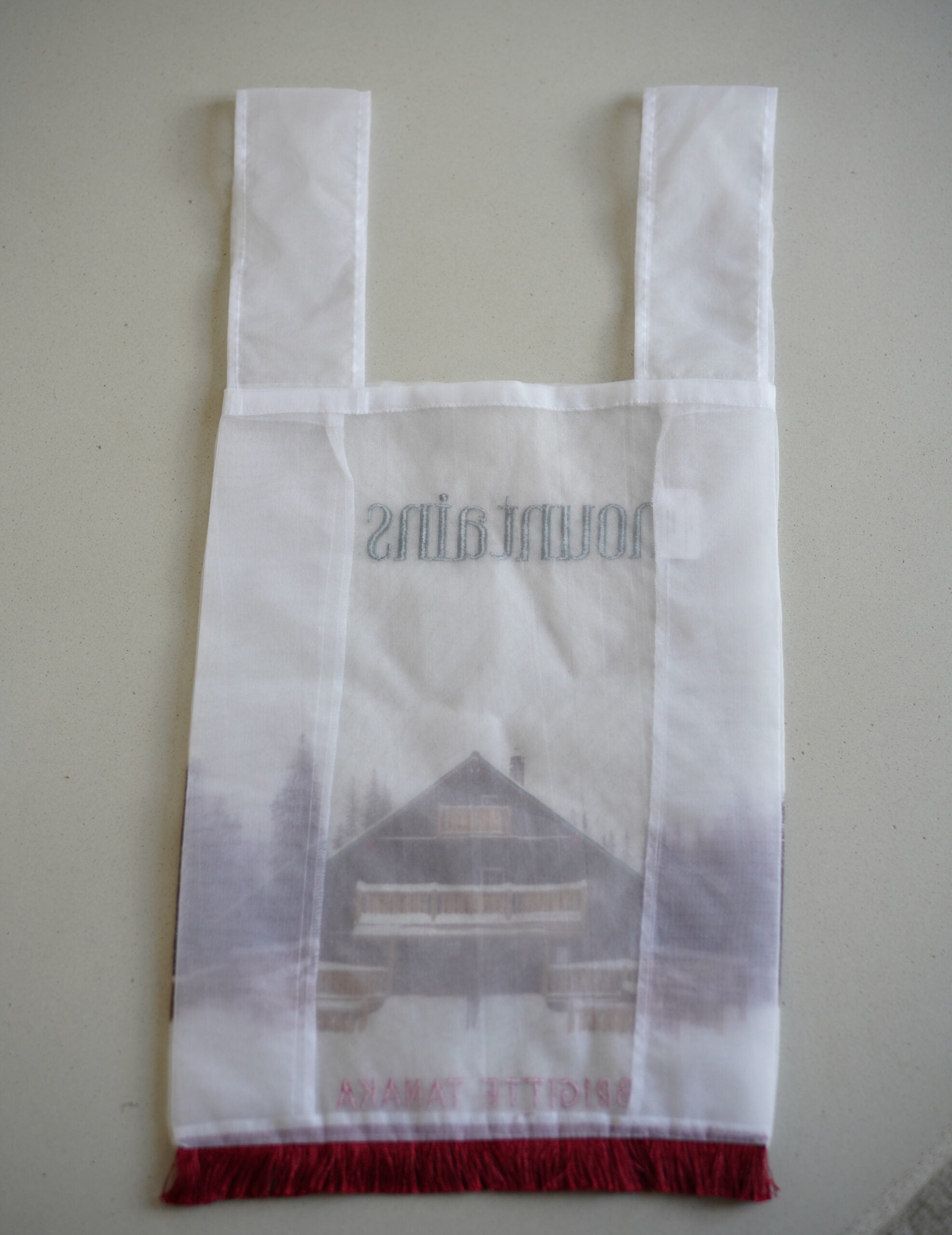 Mountain Chalet 刺繡透明歐根紗手袋