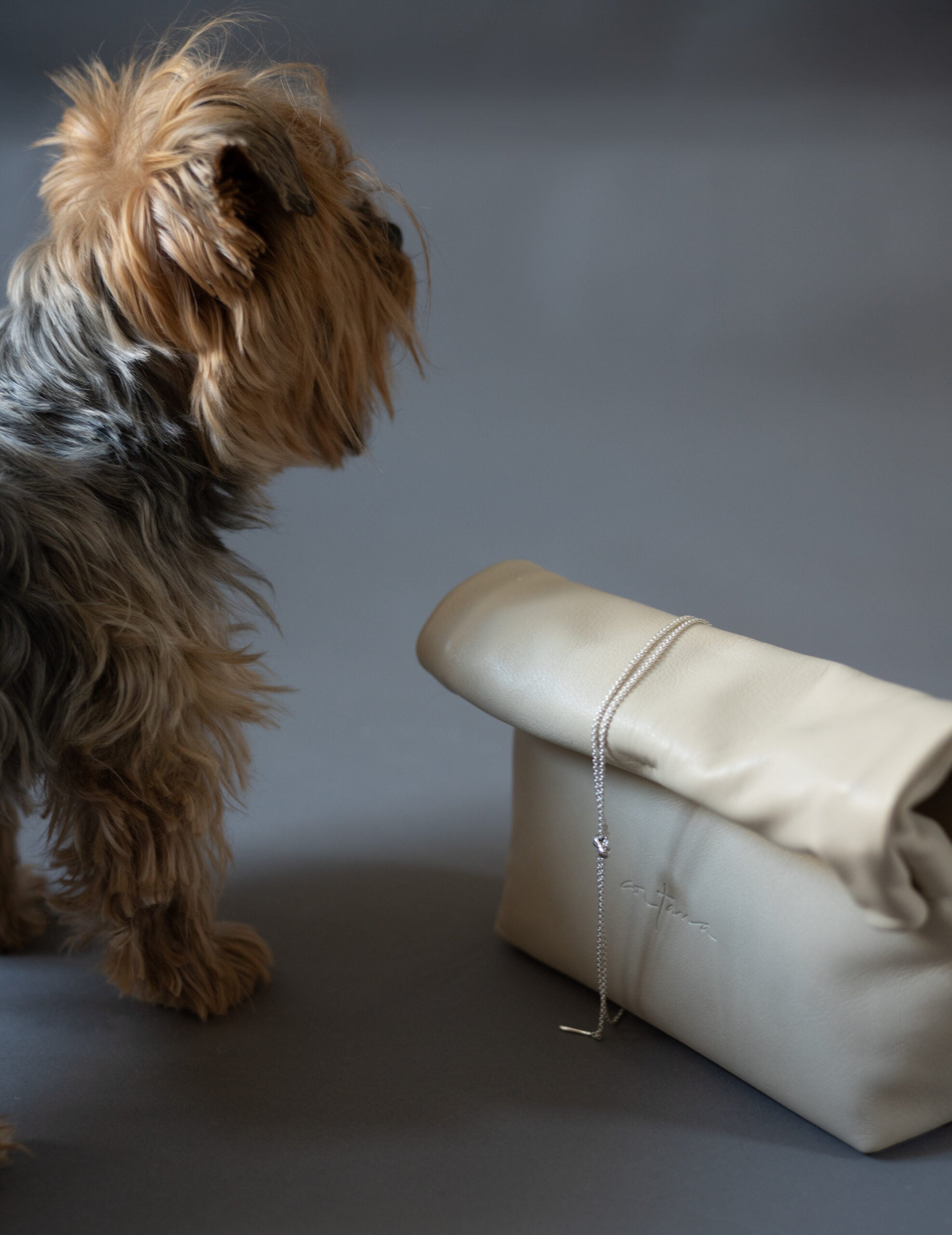 Cord 可調節長鍊・銀色