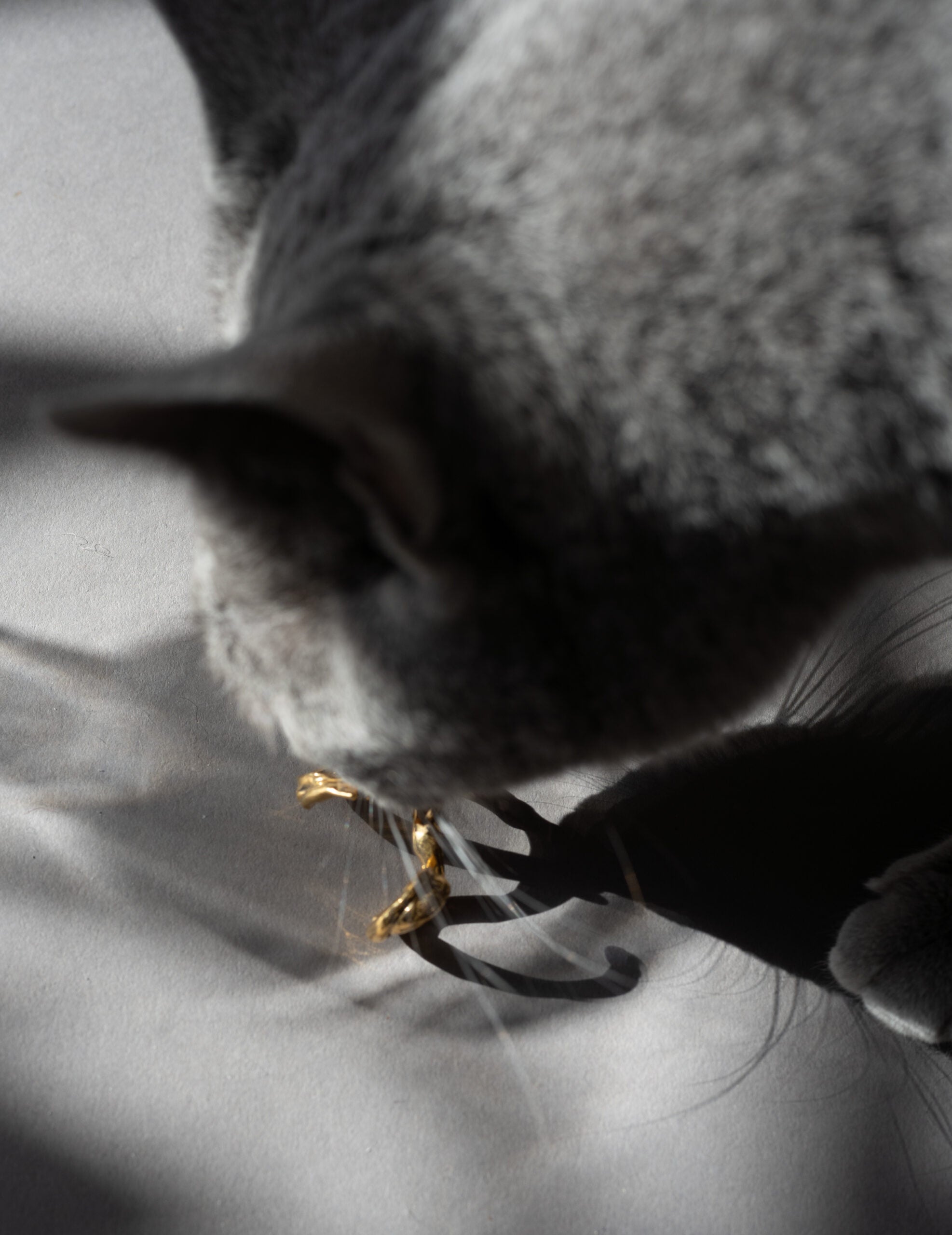 DRIP EARCRAWLER 耳環・單隻 金