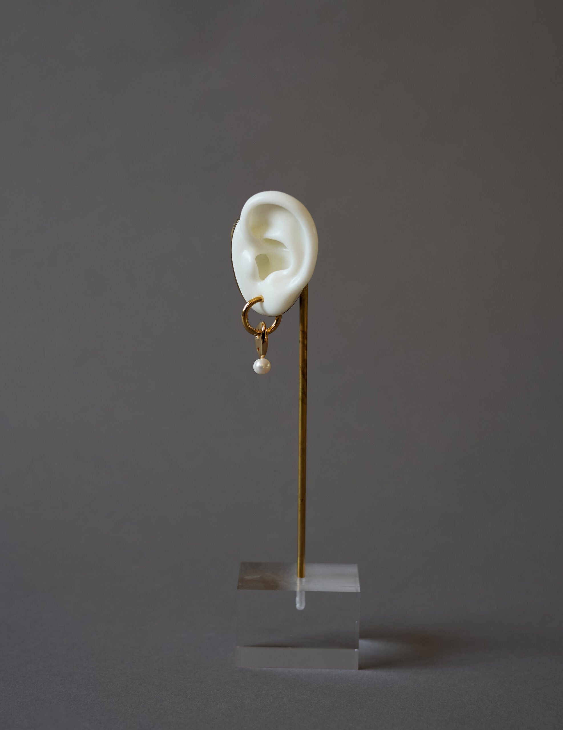 Freshwater Pearl Earrings・Gold