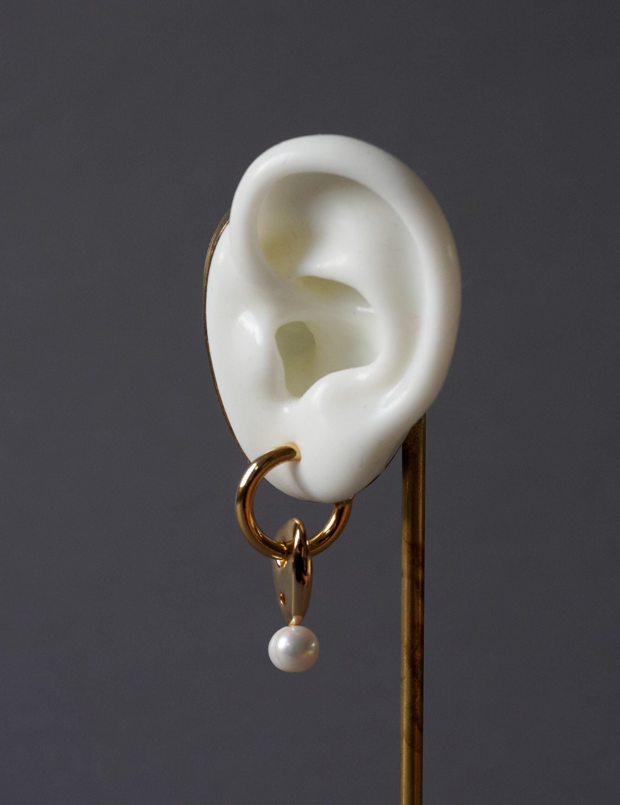 Freshwater Pearl Earrings・Gold