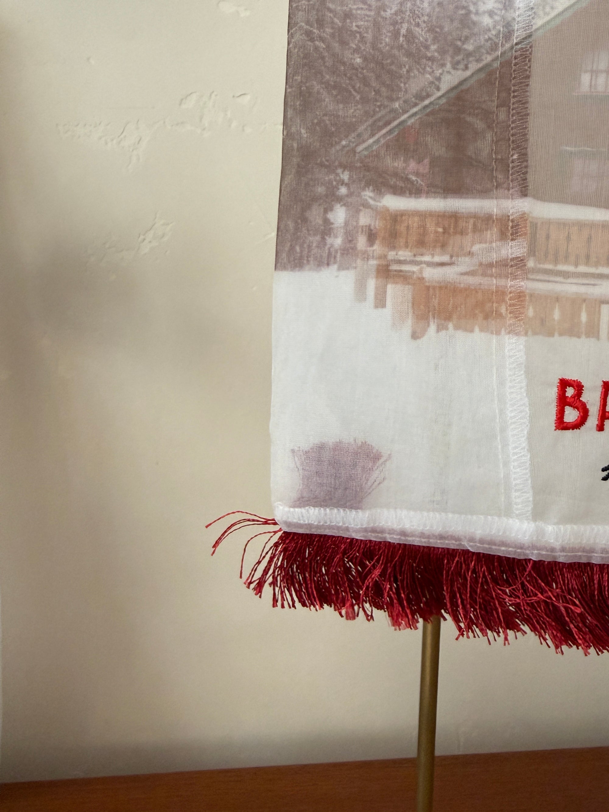 Mountain Chalet Embroidered Transparent Organza Bag